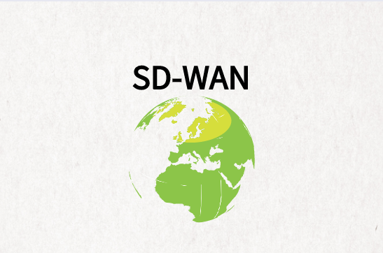 采用SD-WAN时有哪些选择呢?