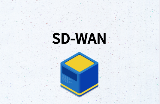 如何跨网络部署SD-WAN?