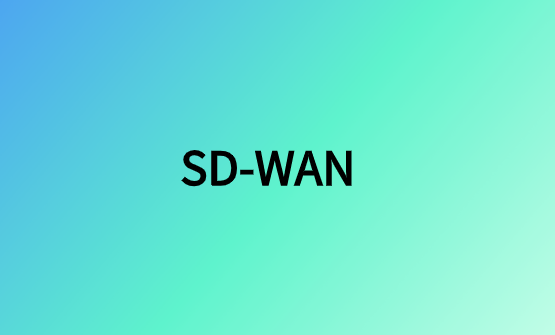 SD-WAN云网络