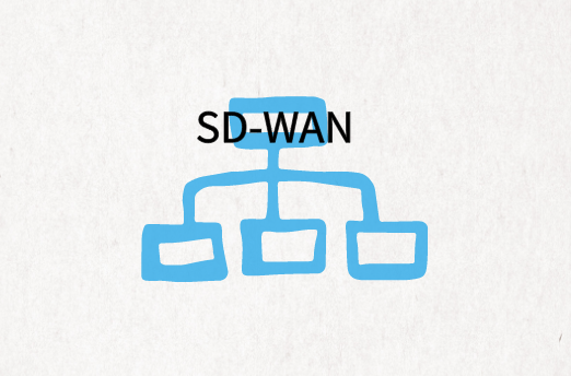 国内企业SD-WAN组网