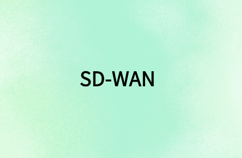SD-WAN 与远程用户