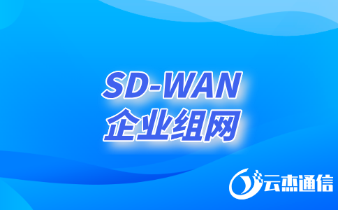 深入了解领先的SD-WAN服务商及其创新解决方案