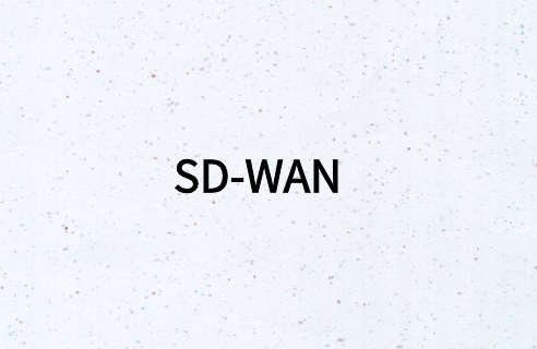 什么类型的企业有必要部署SD-WAN?
