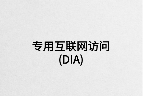 您如何从专用互联网访问(DIA)中受益?